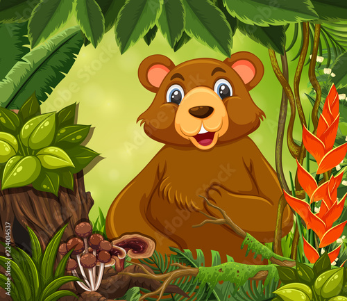 A cute bear in forest