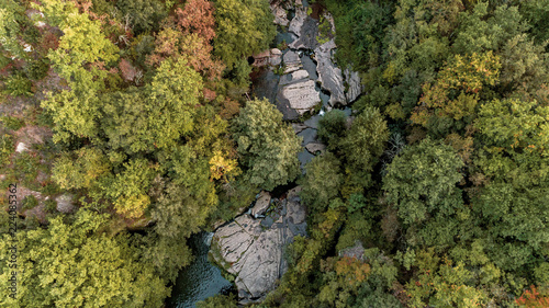 bosco fiume drone