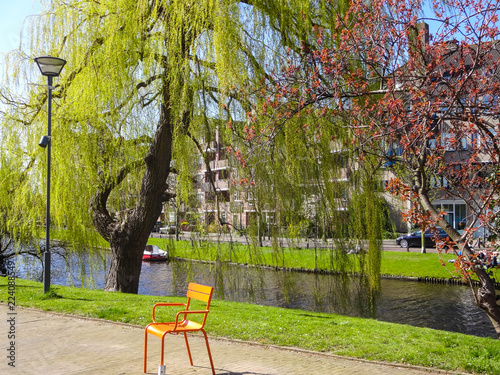 Orange bench in a park