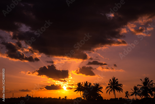 Canvas Print Silhouette of trees and sunset over horizon