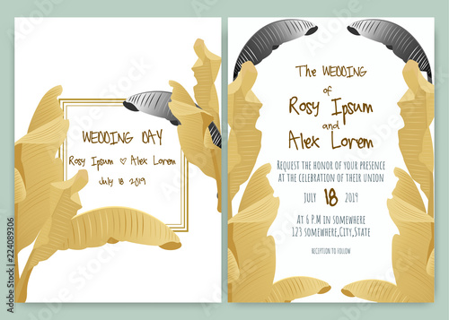 Tropical hand drawn frame for a wedding invitation.