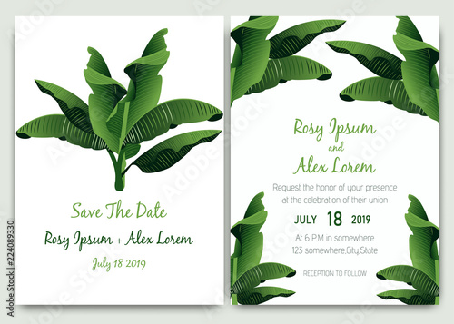 Tropical hand drawn frame for a wedding invitation.