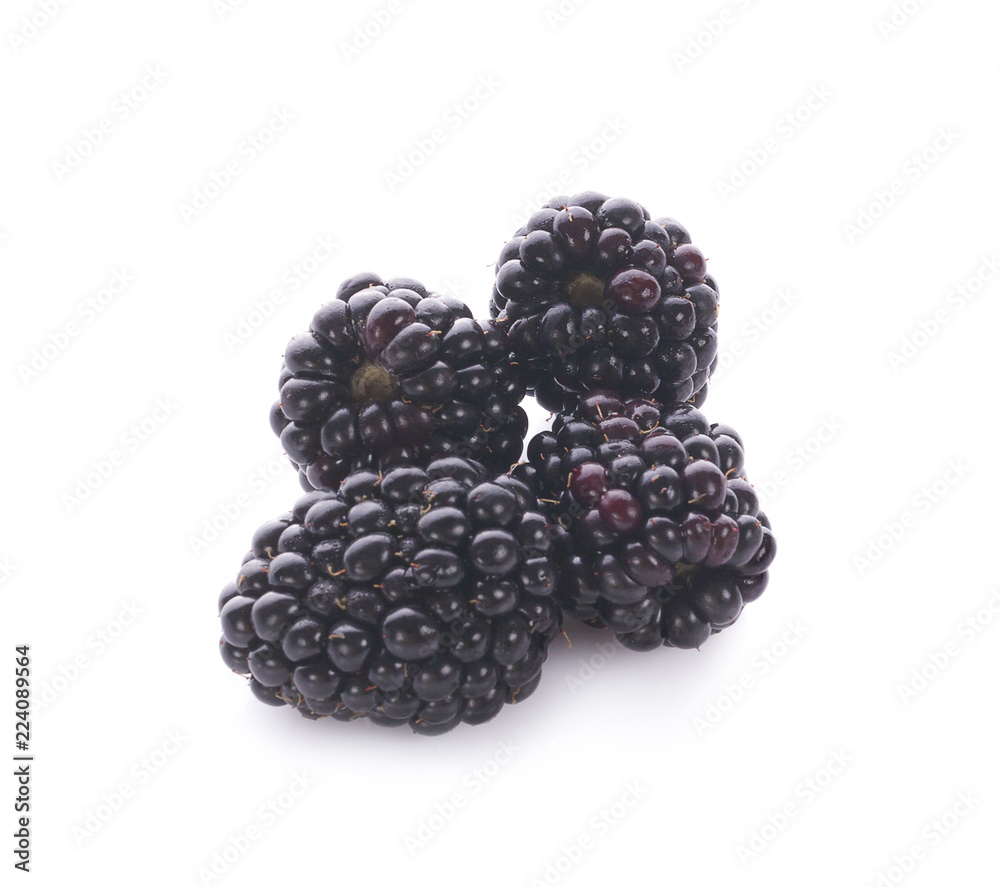 blackberry isolated on white background with clipping path. blackberry isolated on white background with clipping path.