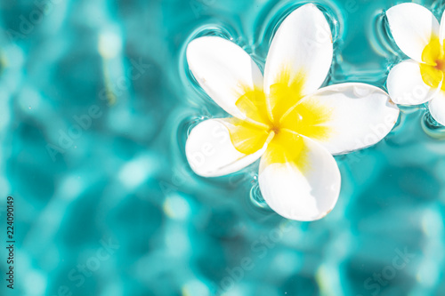 Flower of plumeria floating in the turquoise water surface. Water fluctuations copy-space. Spa concept background © everigenia