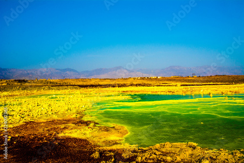 landscape with yellow field and blue sky, Danakil, Ethiopia