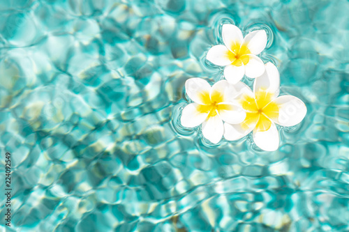 Flowers of plumeria in the turquoise water surface. Water fluctuations copy-space. Spa concept background photo