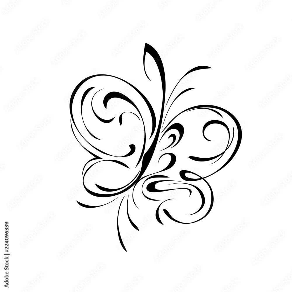 one stylized butterfly in black lines on white background