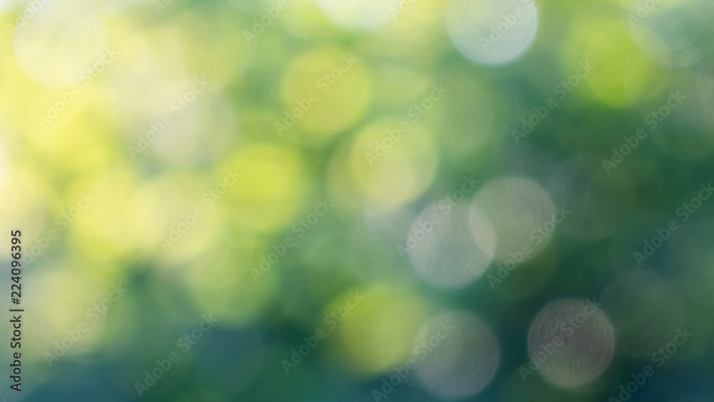 Blurred green foliage with sunlight. Natural background with yellow bokeh circles.