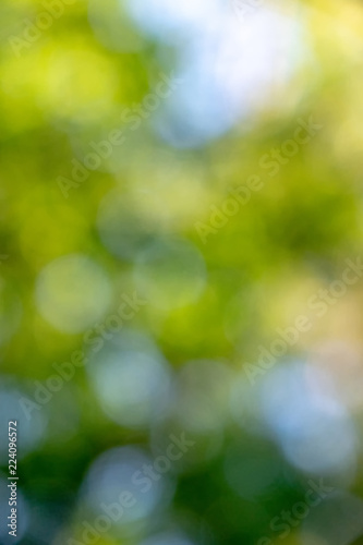 Creative layout from a blurry spring foliage with a beautiful bokeh effect. Nature background