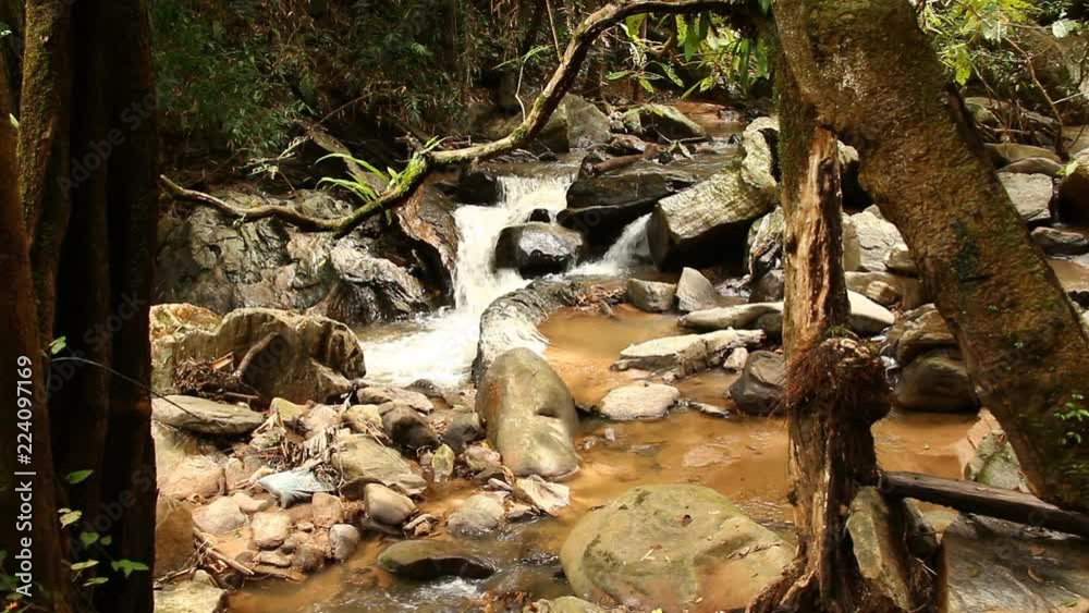 Stream in the rain forest, chiangmai Thailand Stream in the rain forest, chiangmai Thailand