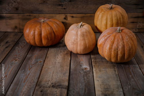 Thanksgiving. Pumpkins on rustic wooden background, copy space