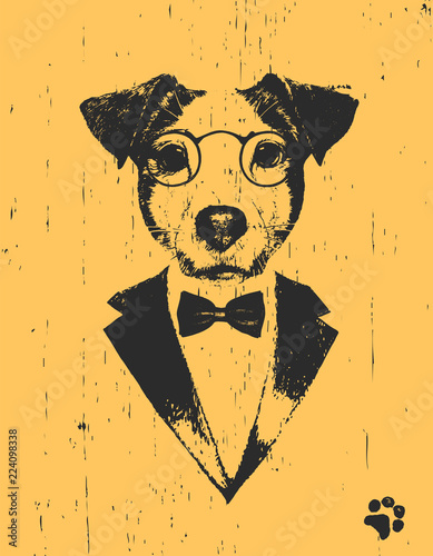 Portrait of Jack Russell in suit, hand-drawn illustration
