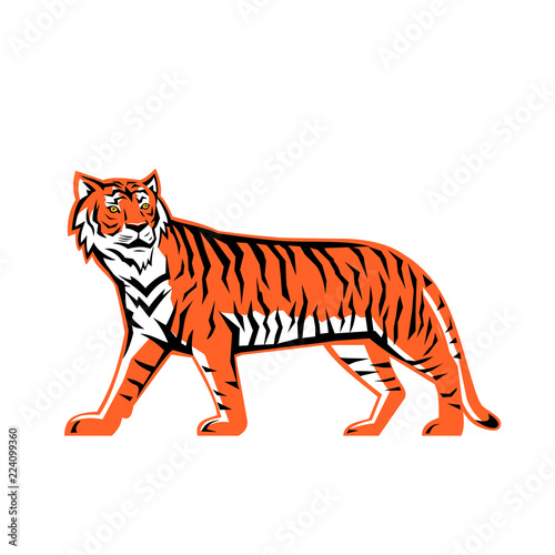 Fototapeta Naklejka Na Ścianę i Meble -  Bengal Tiger Full Body Mascot