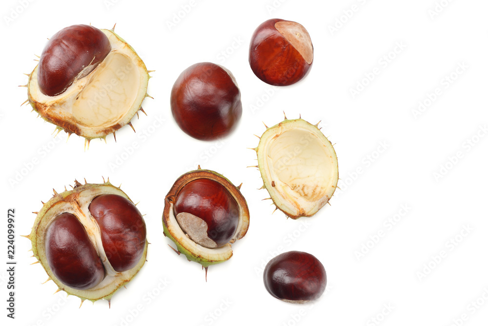 chestnuts isolated on white background. top view chestnuts isolated on white background. top view