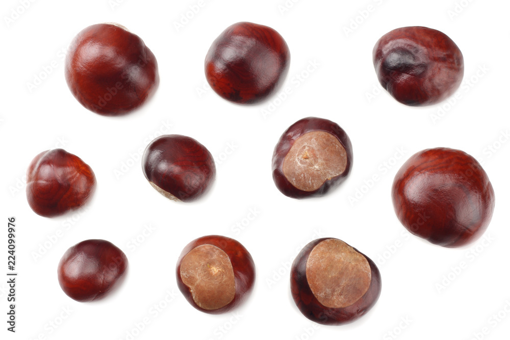 chestnuts isolated on white background. top view chestnuts isolated on white background. top view