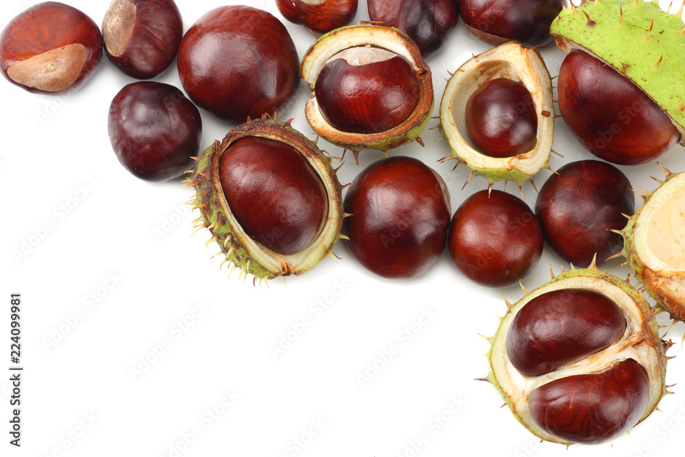 chestnuts isolated on white background. top view chestnuts isolated on white background. top view