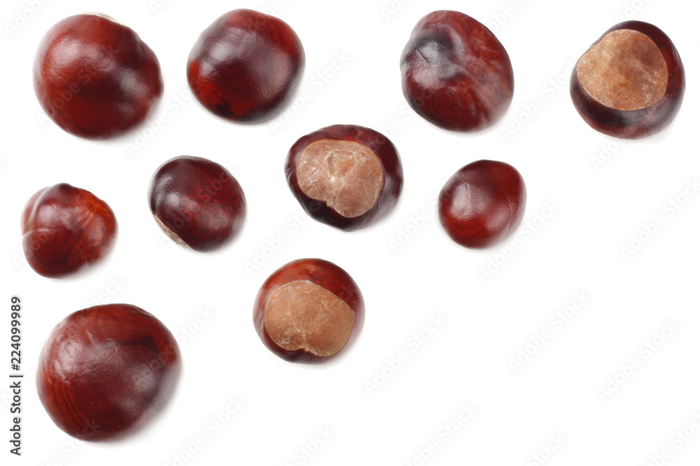 chestnuts isolated on white background. top view chestnuts isolated on white background. top view