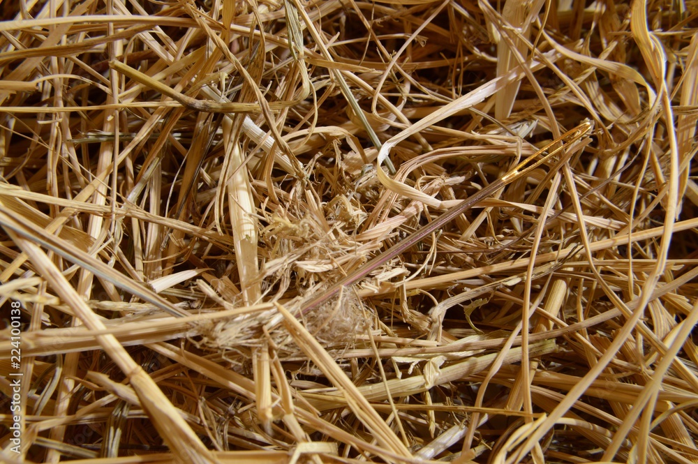 Needle in a haystack. Needle in a haystack.
