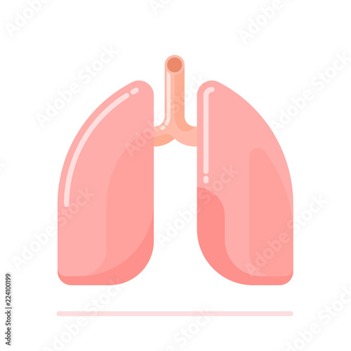 Flat design illustration of human lungs