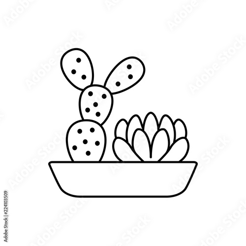 Vector illustration of cactus garden. Line icon of 2 desert succulent plants in the pot. Isolated object on white background. Home decor element.