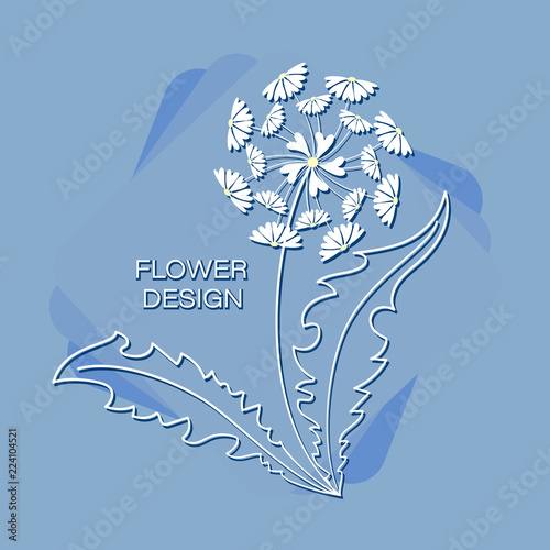 Fototapeta Naklejka Na Ścianę i Meble -  Chamomile dandelion on a blue background. Floral design. Logo, emblem, poster. Words and contour drawing of a dandelion in a square.