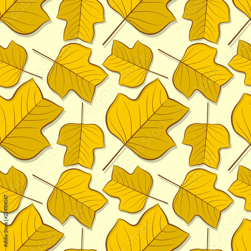 Seamless pattern with tulip poplar autumn leaves. Vector illustration.