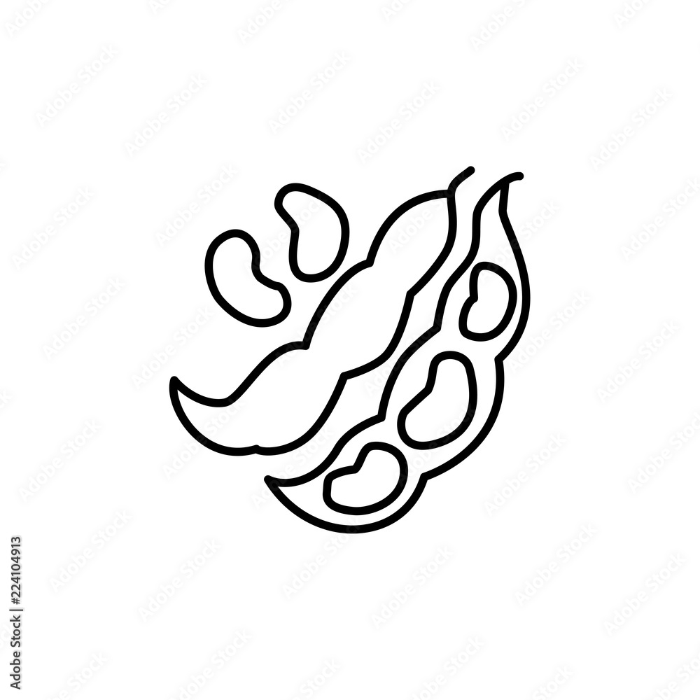 Fototapeta premium Black & white vector illustration of red kidney beans. Line icon of bean pods & seeds. Vegan & vegetarian food. Health eating ingredient. Isolated on white background.