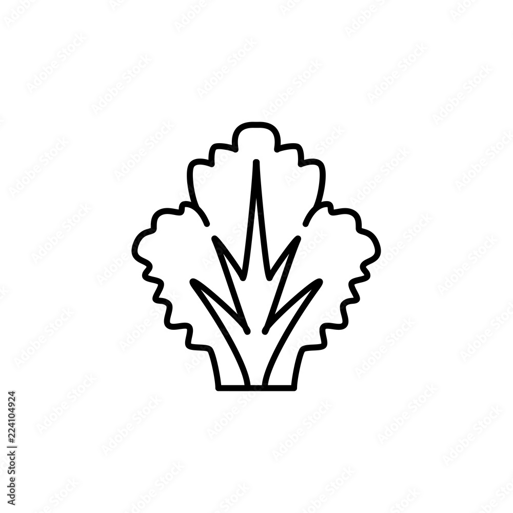 Black & white vector illustration of lettuce leaf vegetable. Line icon of fresh organic veggie. Vegan & vegetarian food. Health eating ingredient. Isolated on white background. Black & white vector illustration of lettuce leaf vegetable. Line icon of fresh organic veggie. Vegan & vegetarian food. Health eating ingredient. Isolated on white background.