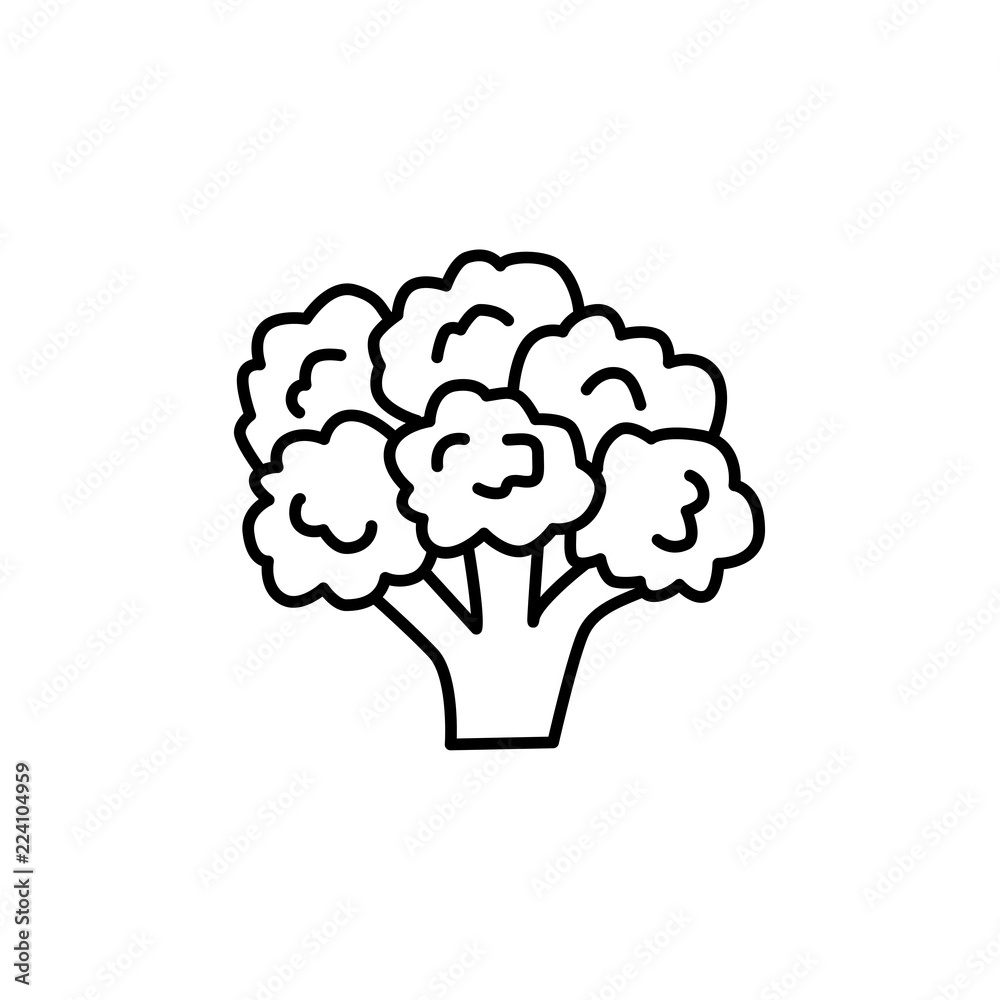 Broccoli. Line vector icon. Isolated object Broccoli. Line vector icon. Isolated object