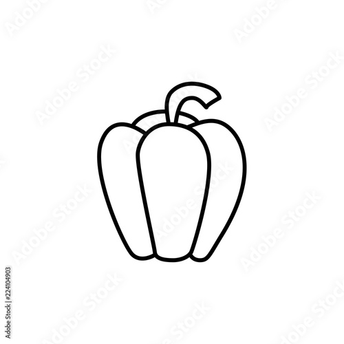 Bell pepper. Sweet pepper. Capsicum. Line vector icon	