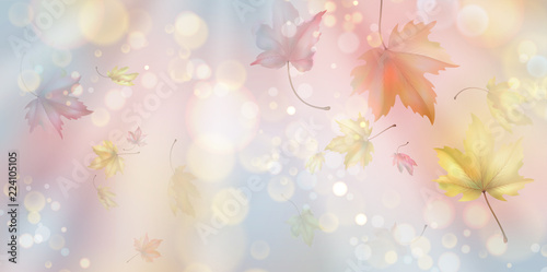 Flying Autumn Leaves
