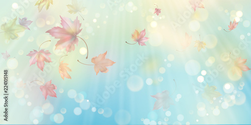 Flying Autumn Leaves