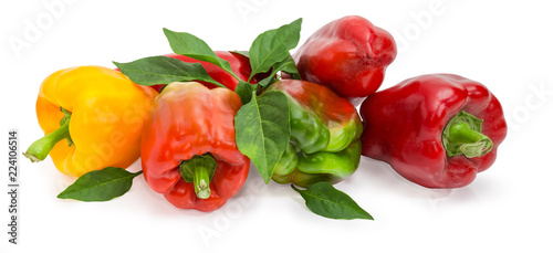 Varicolored bell peppers and twig with leaves on white background