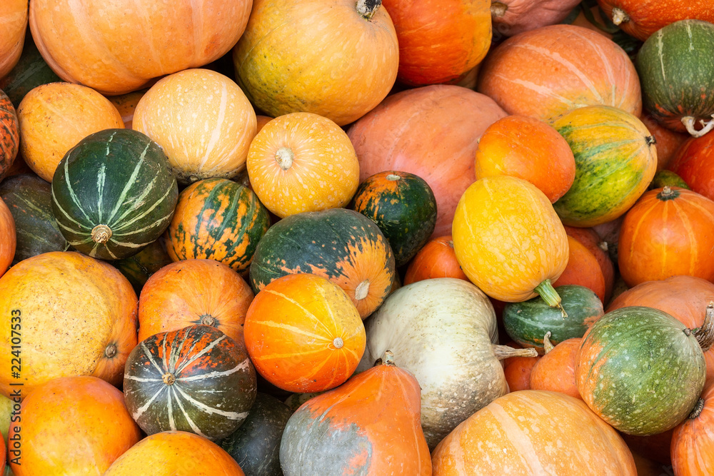 Different varieties of  pumpkins