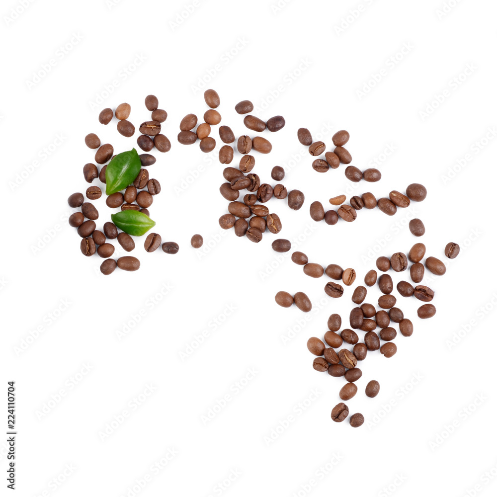 The coffee beans isolated on white The coffee beans isolated on white