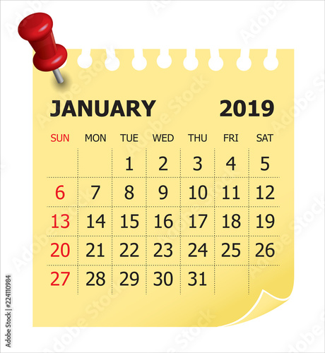 January 2019 monthly calendar vector illustration