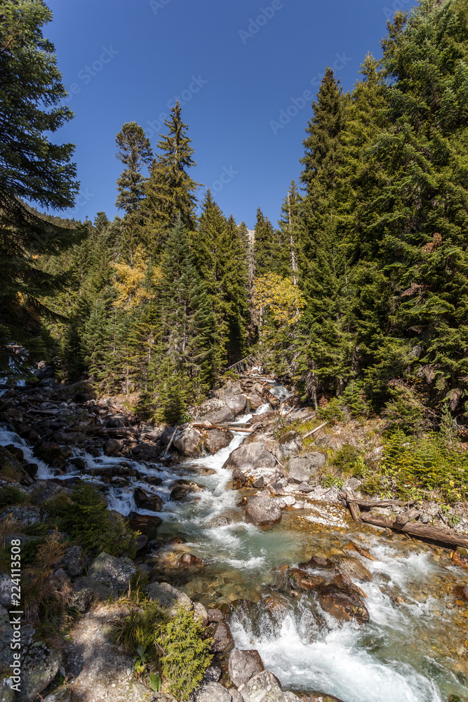 Mountain river. Bright yellow and red autumn in the mountains. Kavkaz. Dombay. Mountain river. Bright yellow and red autumn in the mountains. Kavkaz. Dombay.