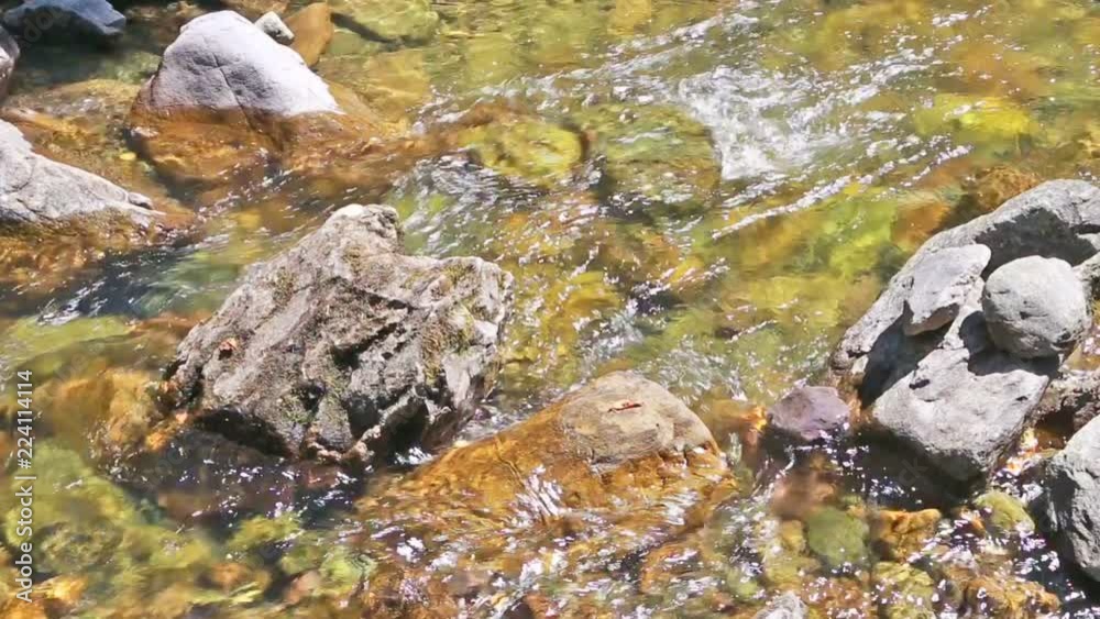 mountain river. water motion near the stones mountain river. water motion near the stones