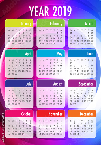 Year 2019 calendar vector design template