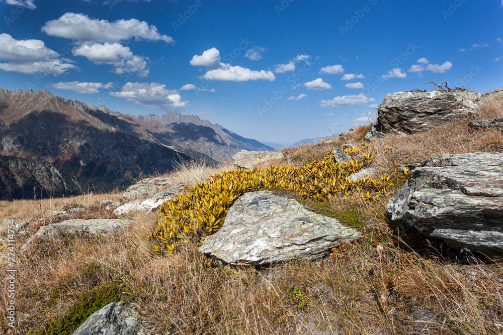 Fototapeta premium Bright yellow and red autumn in the mountains. Kavkaz. Dombay.