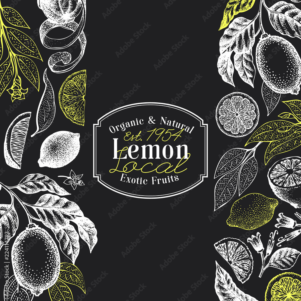 Vintage citrus background. Lemon tree design template. Hand drawn vector fruit illustration on chalk board. Engraved style design.