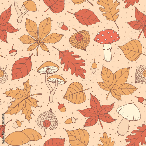 Vector autumn seamless pattern with oak  poplar  beech  maple  aspen and horse chestnut leaves  mushrooms  acorns and physalis brown outline on the beige dotted background. Fall ornament