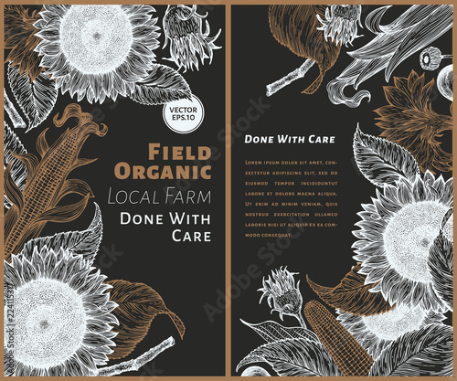 Set of two sunflower banners. Sunflower and corn design template. Vector hand drawn illustration on chalk board. Can be use for organic and natural products, restaurants and cafe.