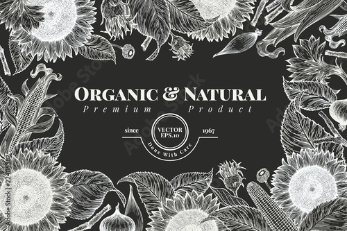 Sunflower and corn frame template. Sunflower banner design. Vector hand drawn illustration on chalk board. Can be use for organic and natural products, restaurants and cafe.
