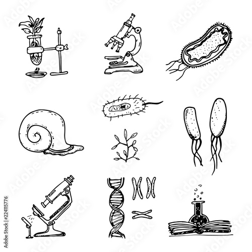 Cool Biology Images