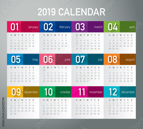 Year 2019 calendar vector design template