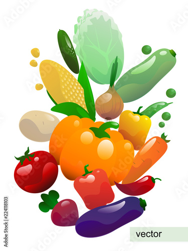 Fototapeta Naklejka Na Ścianę i Meble -  White poster with vegetables vector