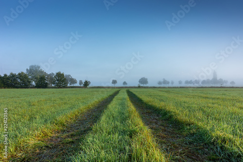 Foggy morning in the haze landscape.