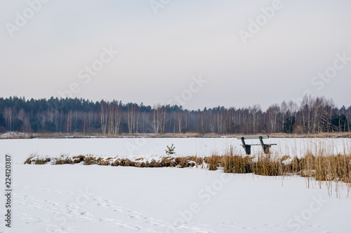 Fototapeta Naklejka Na Ścianę i Meble -  snowy winter countryside scene with snow and frozen trees
