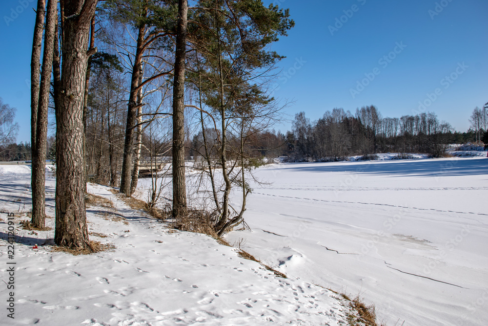 snowy winter countryside scene with snow and frozen trees snowy winter countryside scene with snow and frozen trees